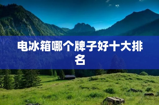 电冰箱哪个牌子好十大排名:详细解读600字 电冰箱哪个牌子好十大排名:详细解读600字