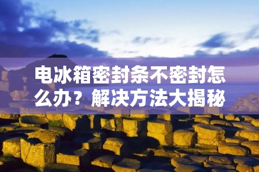 电冰箱密封条不密封怎么办?解决方法大揭秘! 电冰箱密封条不密封怎么办?解决方法大揭秘!