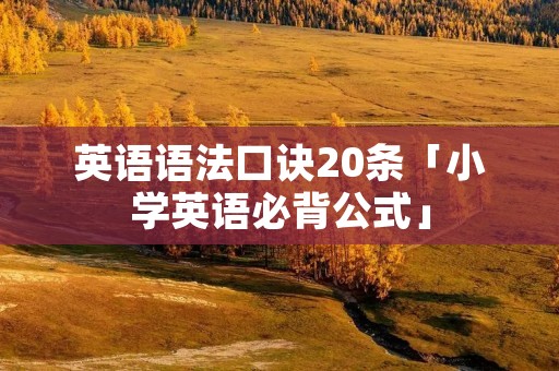 英语语法口诀20条「小学英语必背公式」