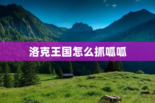 洛克王国怎么抓呱呱