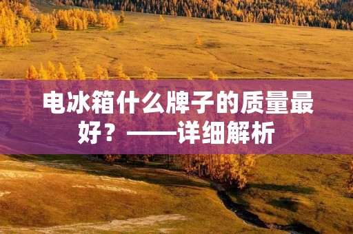 电冰箱什么牌子的质量最好?——详细解析 电冰箱什么牌子的质量最好?——详细解析
