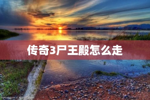 传奇3尸王殿怎么走