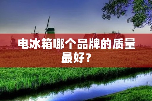 电冰箱哪个品牌的质量最好? 电冰箱哪个品牌的质量最好?