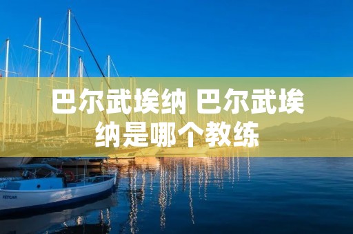 巴尔武埃纳 巴尔武埃纳是哪个教练 巴尔武埃纳 巴尔武埃纳是哪个教练