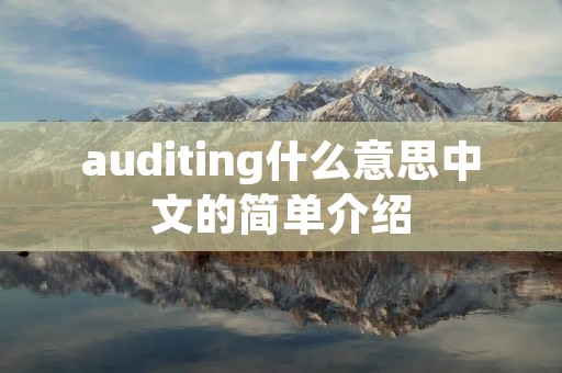 auditing什么意思中文的简单介绍