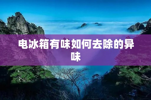 电冰箱有味如何去除的异味