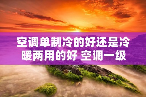 空调单制冷的好还是冷暖两用的好 空调一级三级哪个实用
