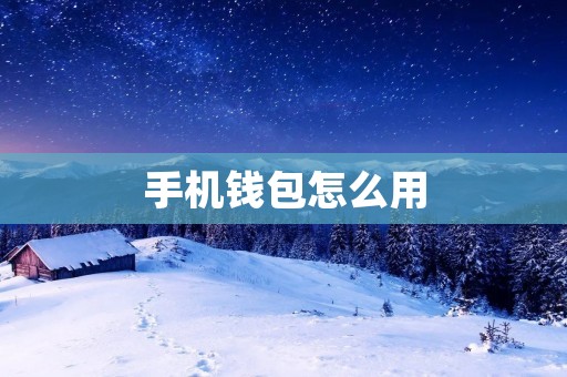 手机钱包怎么用