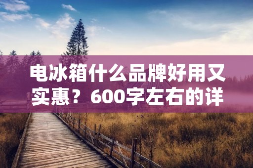 电冰箱什么品牌好用又实惠？600字左右的详细描述