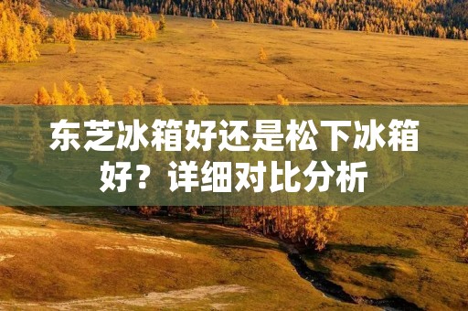 东芝冰箱好还是松下冰箱好？详细对比分析