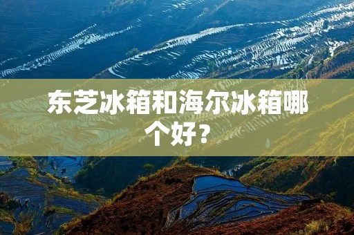 东芝冰箱和海尔冰箱哪个好？