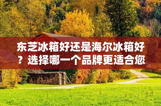 东芝冰箱好还是海尔冰箱好？选择哪一个品牌更适合您的需求？