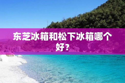 东芝冰箱和松下冰箱哪个好？