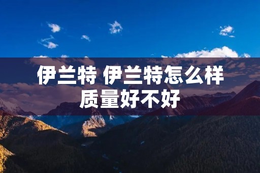 伊兰特 伊兰特怎么样质量好不好