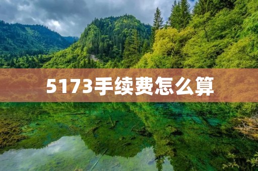5173手续费怎么算