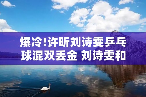 爆冷!许昕刘诗雯乒乓球混双丢金 刘诗雯和许昕双打乒乓球东京奥运会