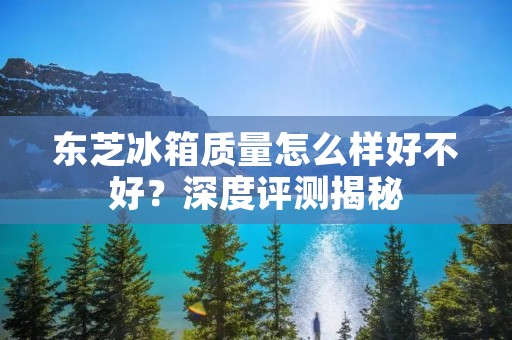 东芝冰箱质量怎么样好不好？深度评测揭秘