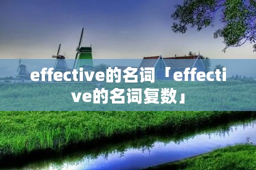 effective的名词「effective的名词复数」