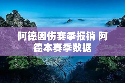 阿德因伤赛季报销 阿德本赛季数据