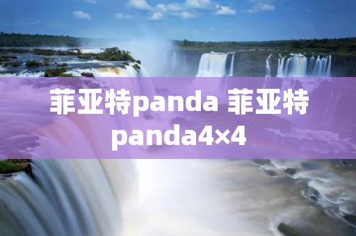 菲亚特panda 菲亚特panda4×4
