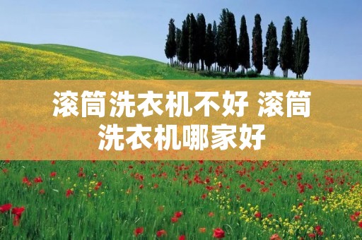 滚筒洗衣机不好 滚筒洗衣机哪家好