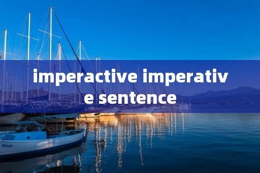 imperactive imperative sentence