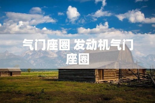 气门座圈 发动机气门座圈