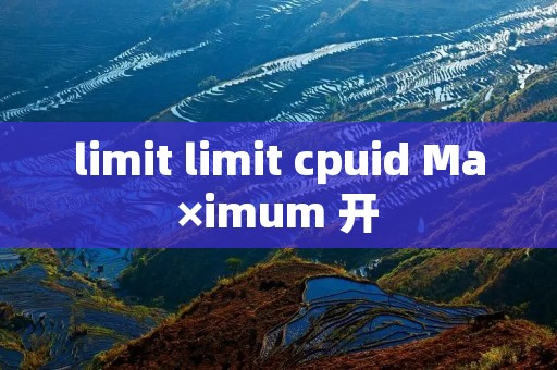 limit limit cpuid Ma×imum 开