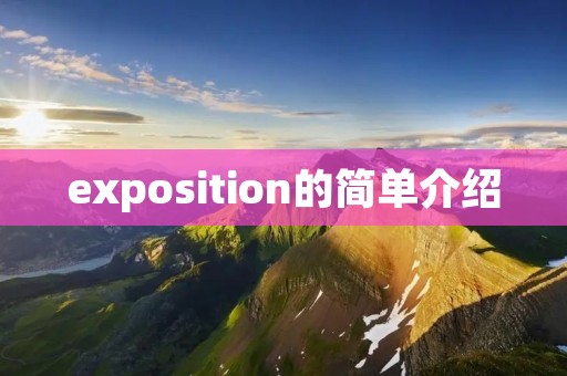 exposition的简单介绍