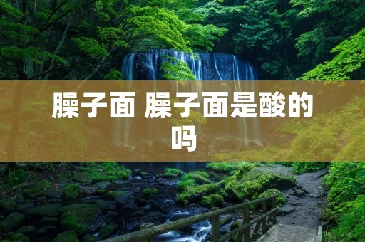 臊子面 臊子面是酸的吗