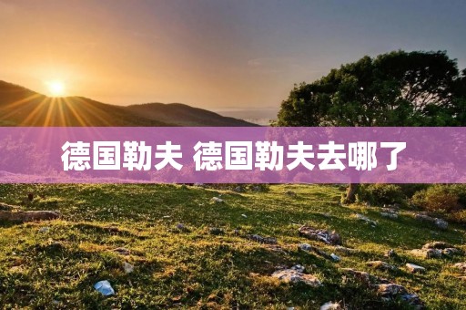 德国勒夫 德国勒夫去哪了