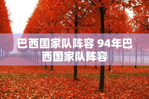 巴西国家队阵容 94年巴西国家队阵容