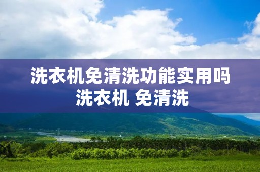 洗衣机免清洗功能实用吗 洗衣机 免清洗
