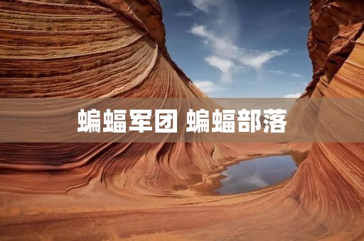 蝙蝠军团 蝙蝠部落