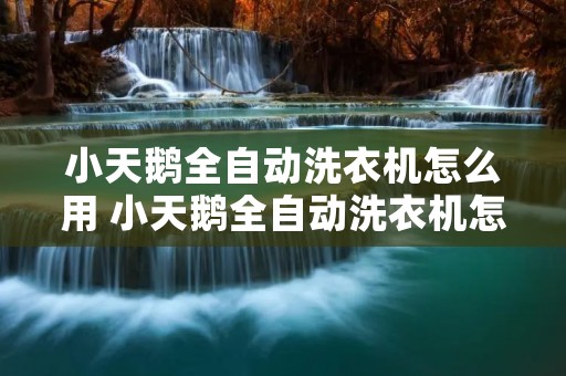 小天鹅全自动洗衣机怎么用 小天鹅全自动洗衣机怎么用图解