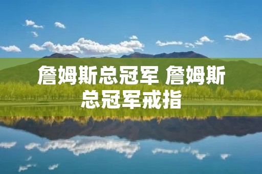 詹姆斯总冠军 詹姆斯总冠军戒指 詹姆斯总冠军 詹姆斯总冠军戒指