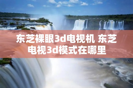 东芝裸眼3d电视机 东芝电视3d模式在哪里 东芝裸眼3d电视机 东芝电视3d模式在哪里
