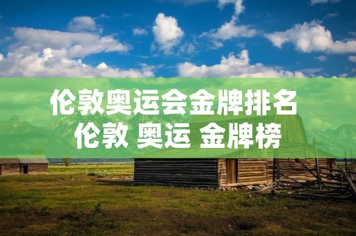 伦敦奥运会金牌排名 伦敦 奥运 金牌榜