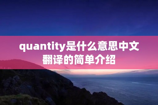 quantity是什么意思中文翻译的简单介绍