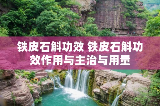 铁皮石斛功效 铁皮石斛功效作用与主治与用量 铁皮石斛功效 铁皮石斛功效作用与主治与用量