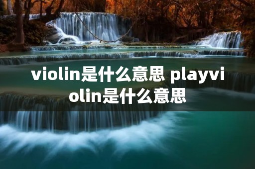 violin是什么意思 playviolin是什么意思