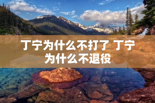 丁宁为什么不打了 丁宁为什么不退役
