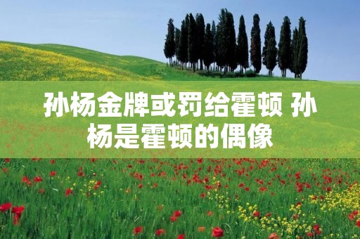 孙杨金牌或罚给霍顿 孙杨是霍顿的偶像