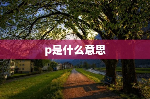 p是什么意思