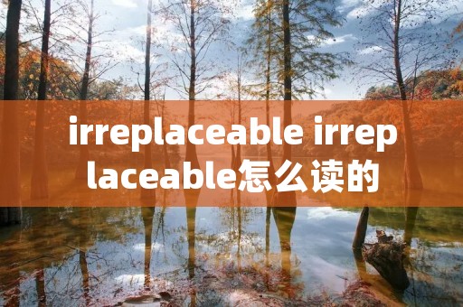 irreplaceable irreplaceable怎么读的
