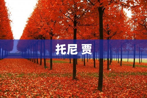 托尼 贾:电影界的传奇巨匠