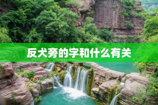 反犬旁的字和什么有关