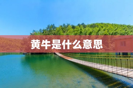 黄牛是什么意思