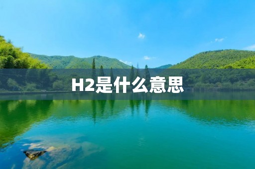 H2是什么意思