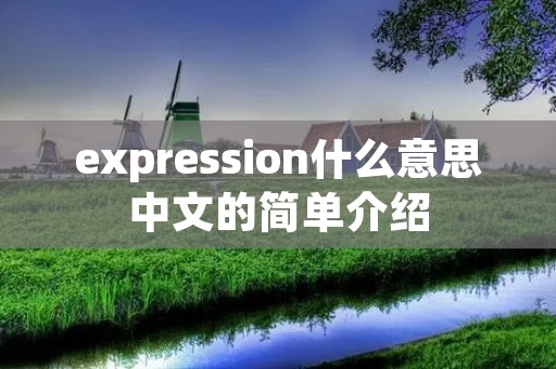 expression什么意思中文的简单介绍 expression什么意思中文的简单介绍